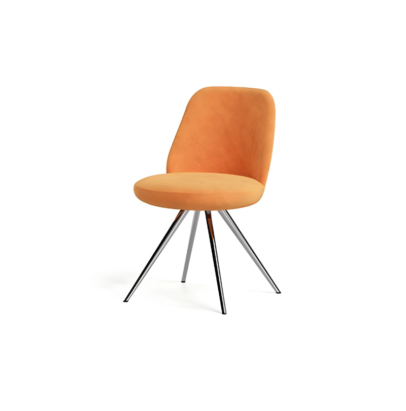Furniture & Decor