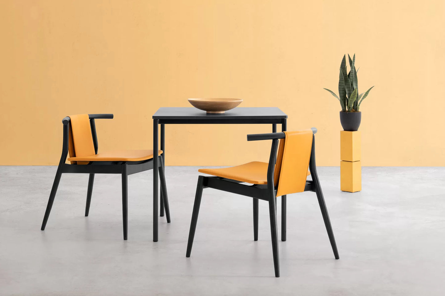 Furniture & Decor
