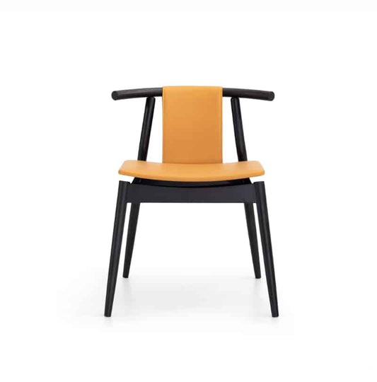 Furniture & Decor