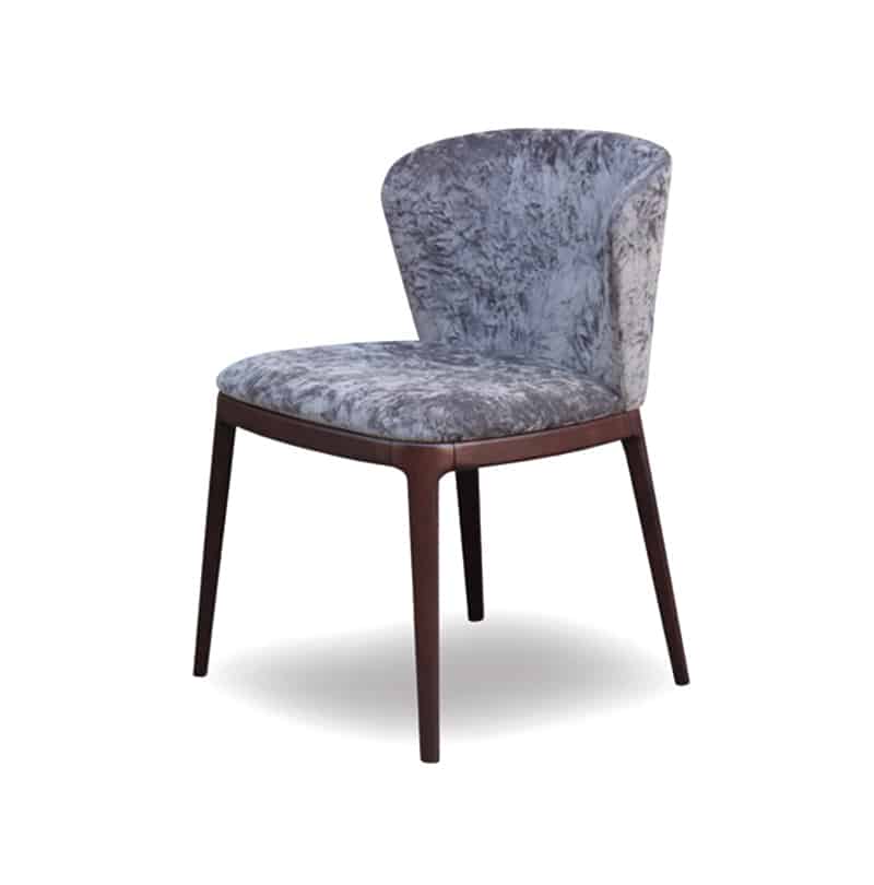 Furniture & Decor