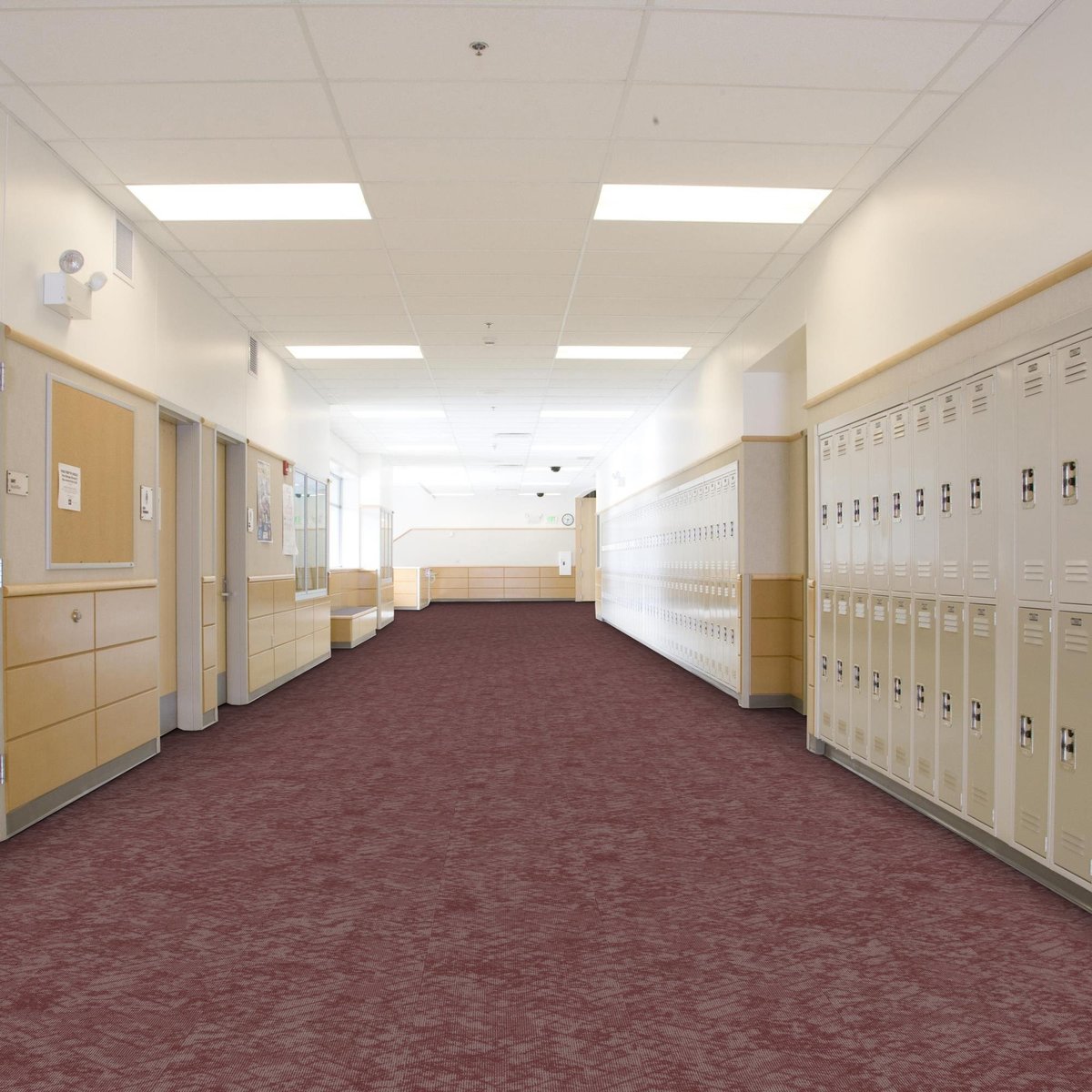 New Path Upbeat Cheeky - Shaw Contract, room scene