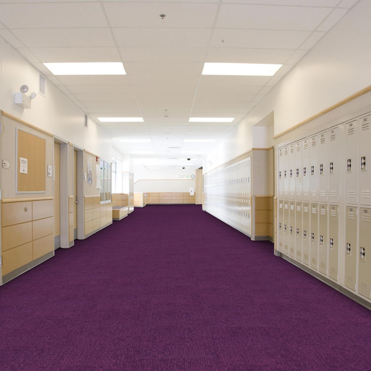 Colour Construct Magenta - Shaw Contract, room scene