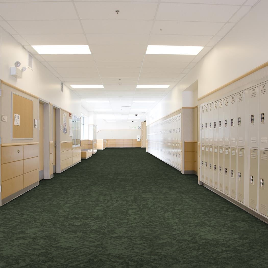 New Path Upbeat Observe - Shaw Contract, room scene