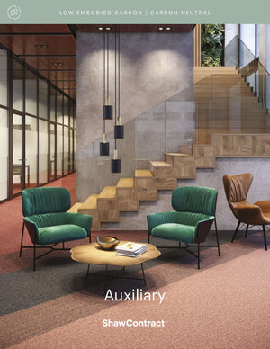 Auxiliary