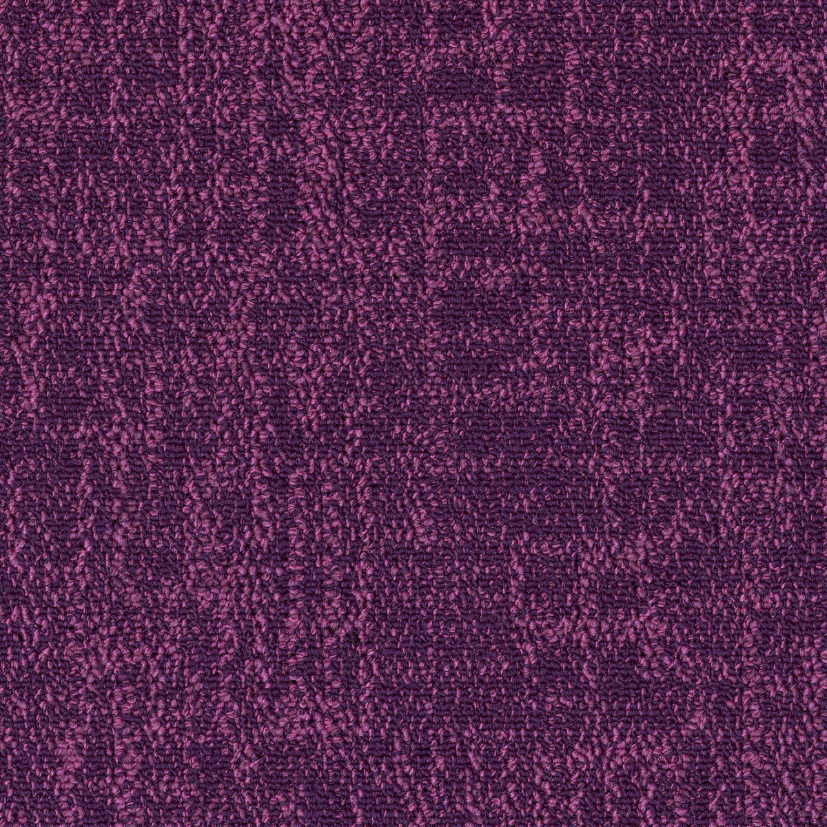 Colour Construct Magenta - Shaw Contract