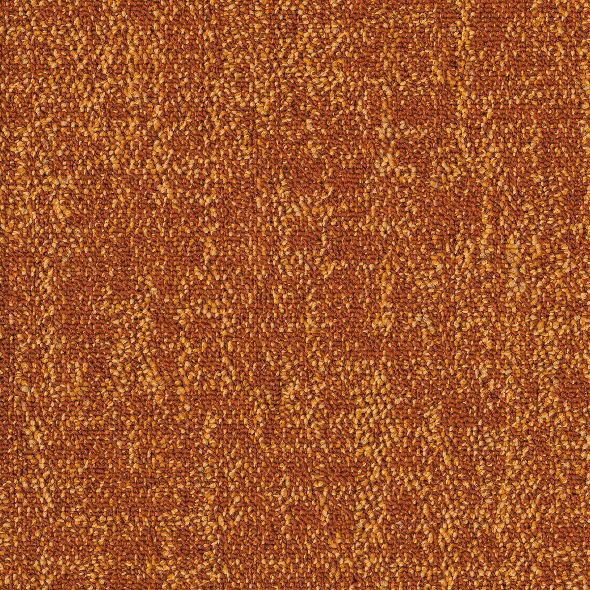 Colour Construct Orange - Shaw Contract