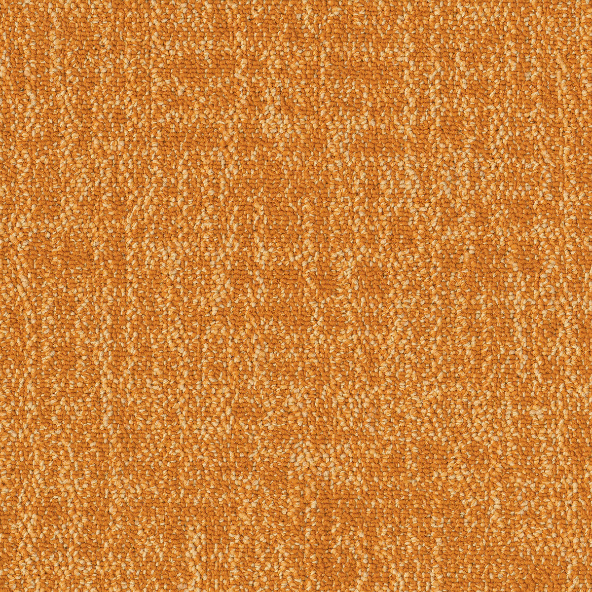 Colour Construct Tangerine - Shaw Contract